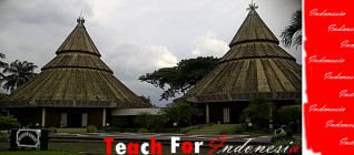 TFI