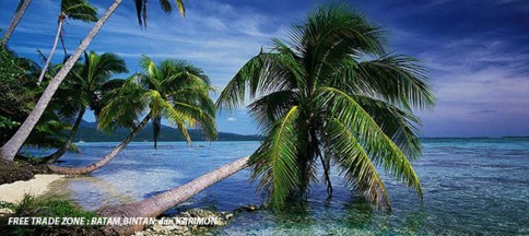 FTZ BATAM BINTAN KARIMUN