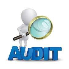 audit fee accounting introduction company